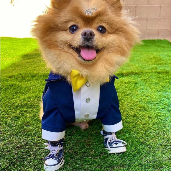 daphsthiftshoes